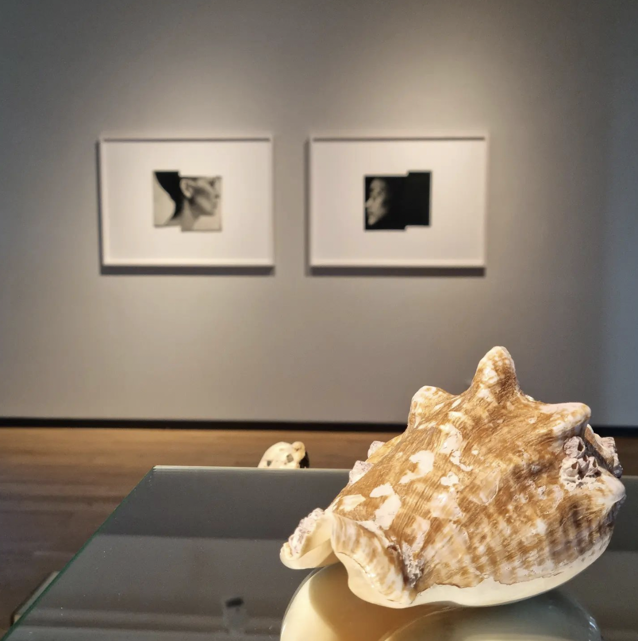 Lotta Antonsson, Installation view of Shimmering Eyes, exhibition, 2022