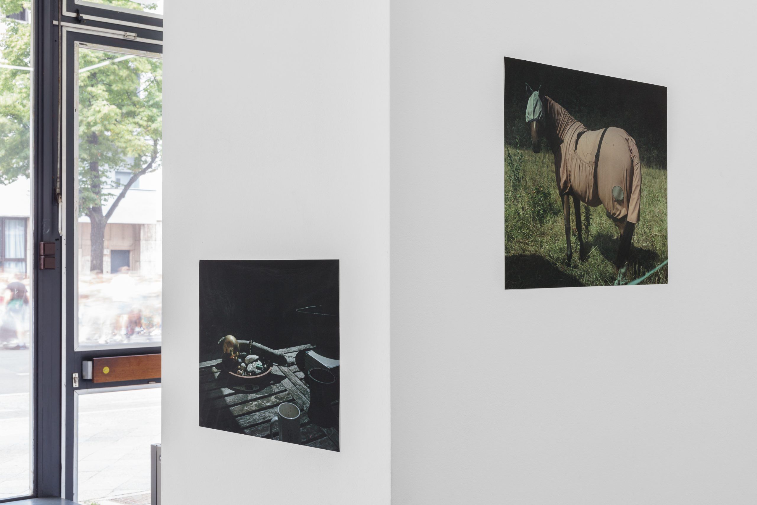 Dorothée Nilsson Gallery, Berlin, group exhibition, Entangled, 2022, installation view