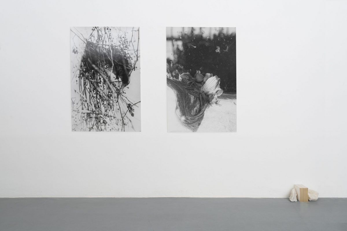 Henrik Strömberg Installation view, object amnesic: a compost manifesto, Dorothée Nilsson Gallery, Berlin 2022