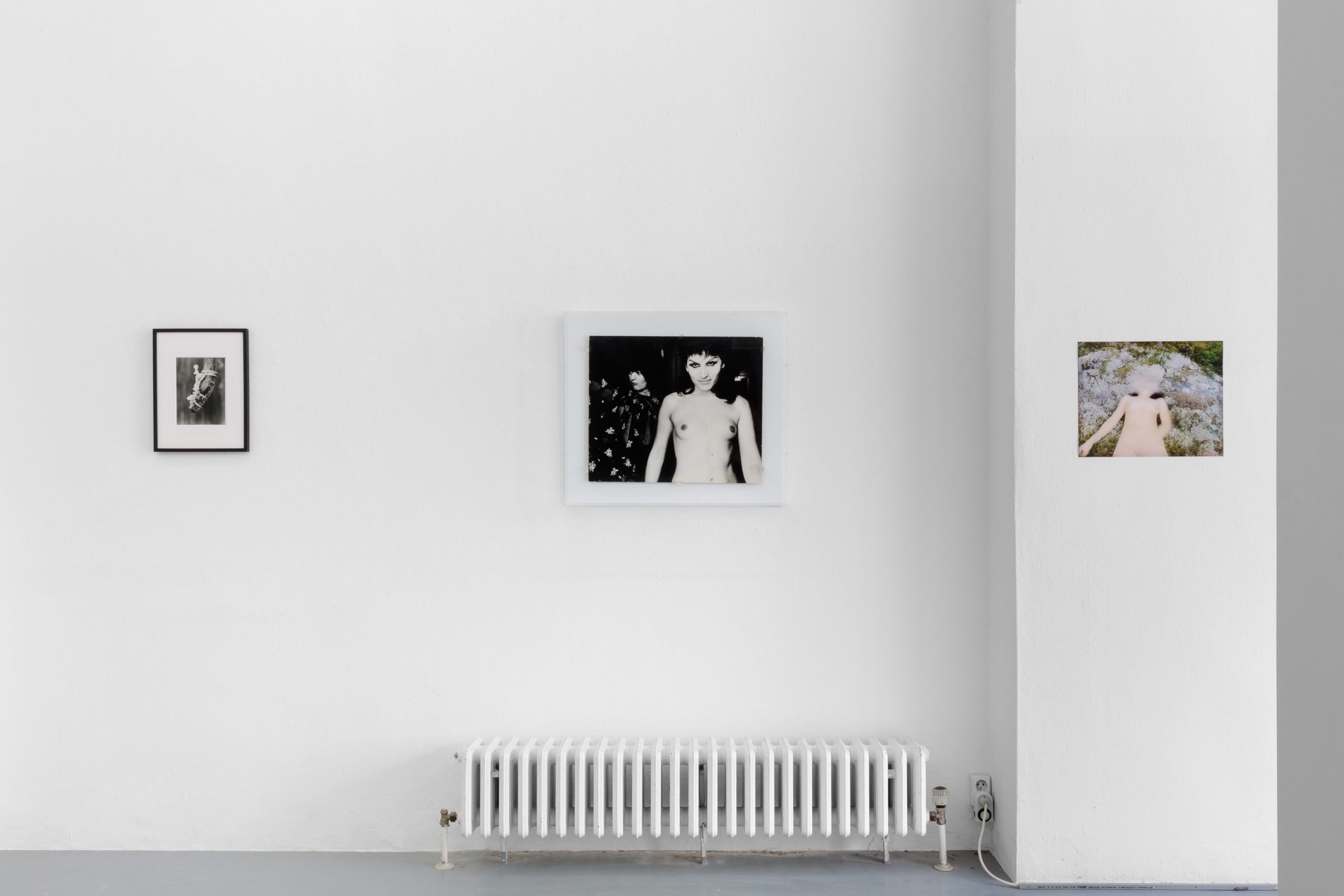 Dorothée Nilsson Gallery, Berlin, group exhibition, Entangled, 2022, installation view