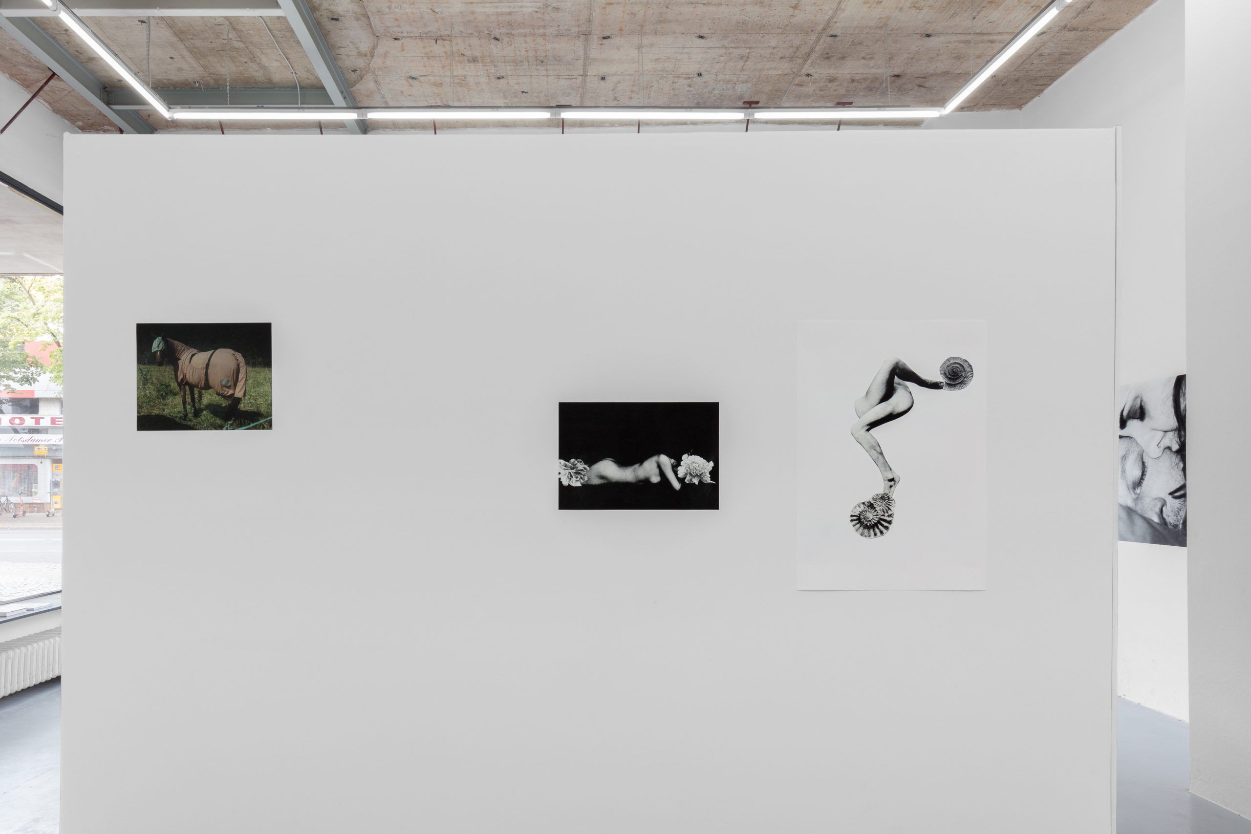 Dorothée Nilsson Gallery, Berlin, group exhibition, Entangled, 2022, installation view