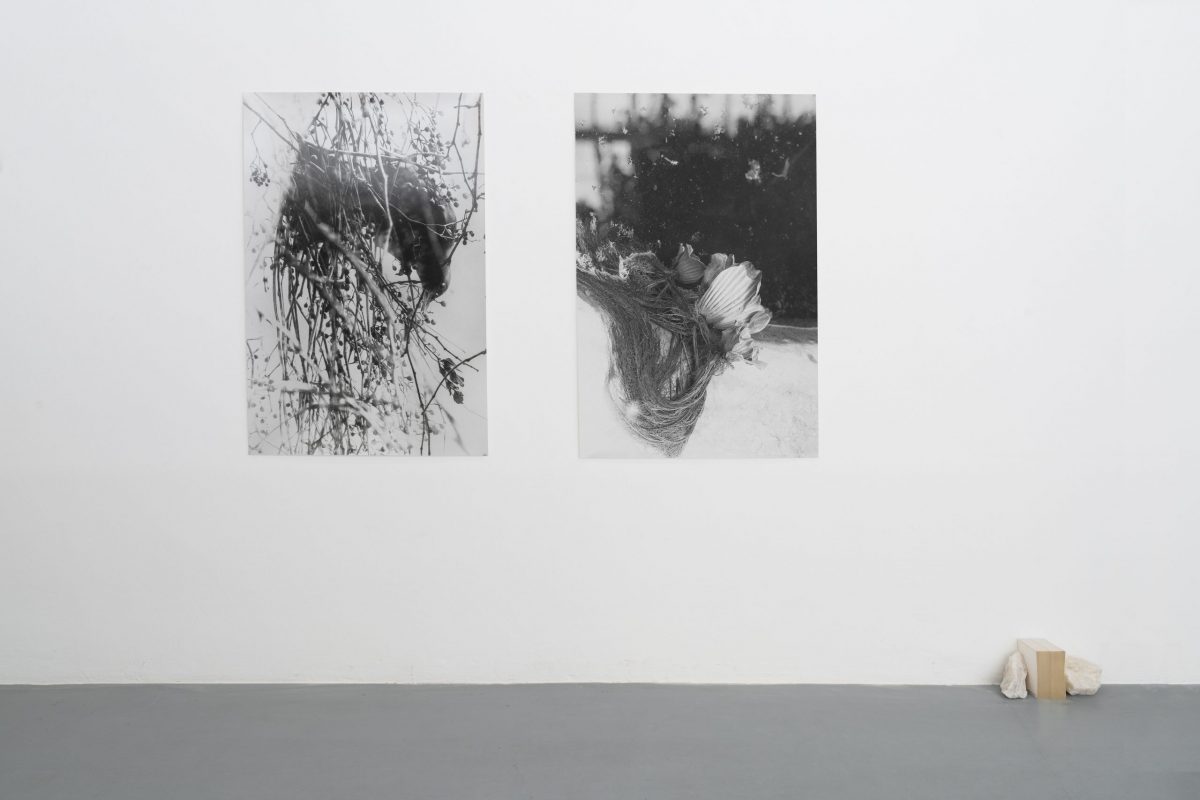 Henrik Strömberg Installation view, object amnesic: a compost manifesto, Dorothée Nilsson Gallery, Berlin 2022