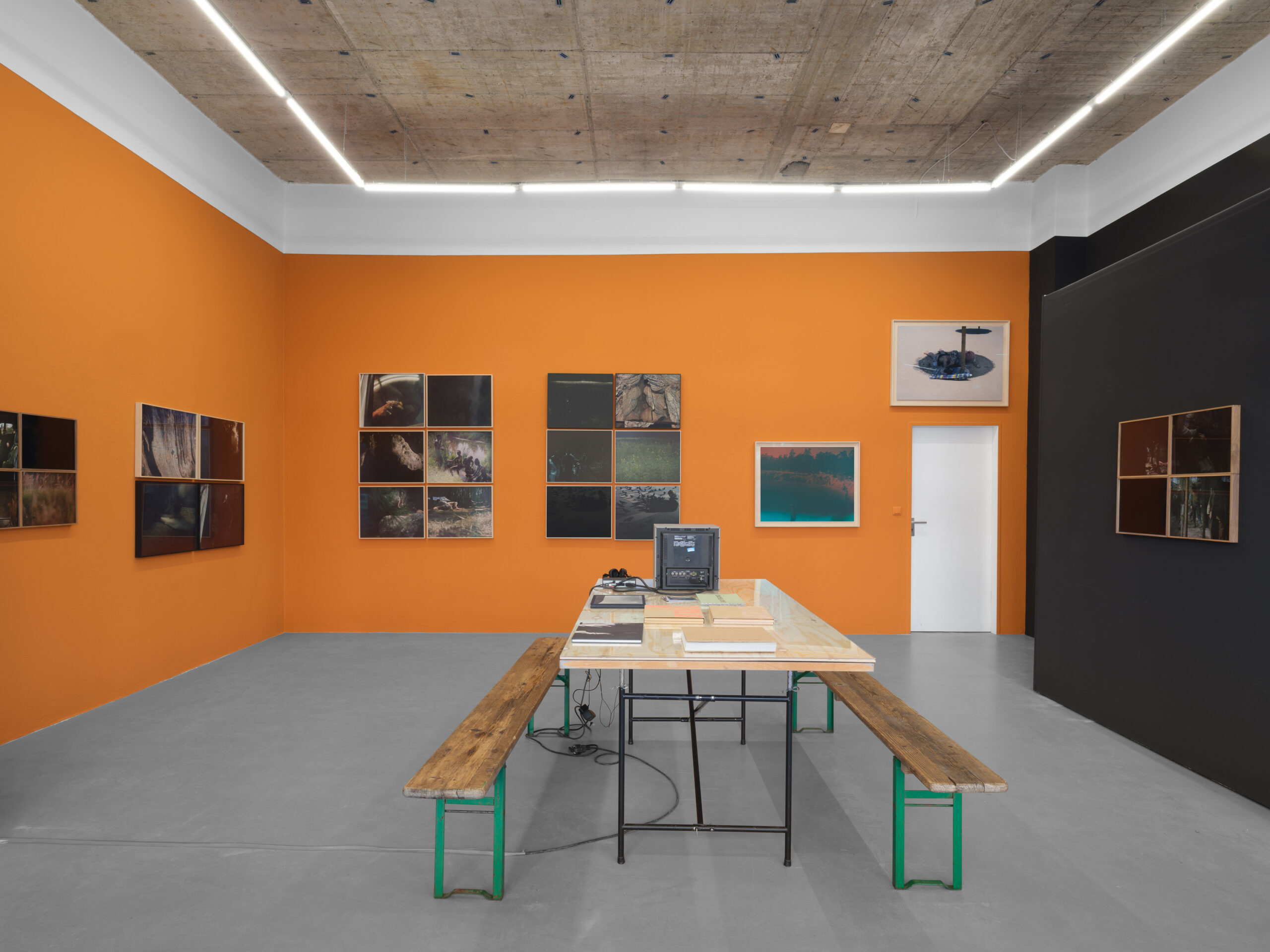 MARTINA HOOGLAND IVANOW | Shadow Works, Living the Dream